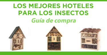 mejores hoteles insectos